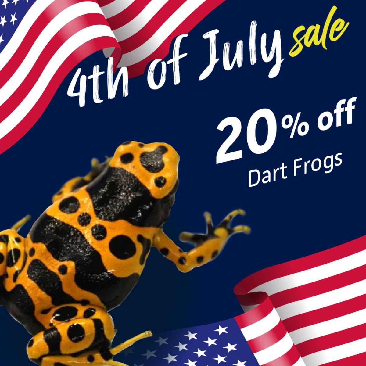 Save 20% on dart frogs.