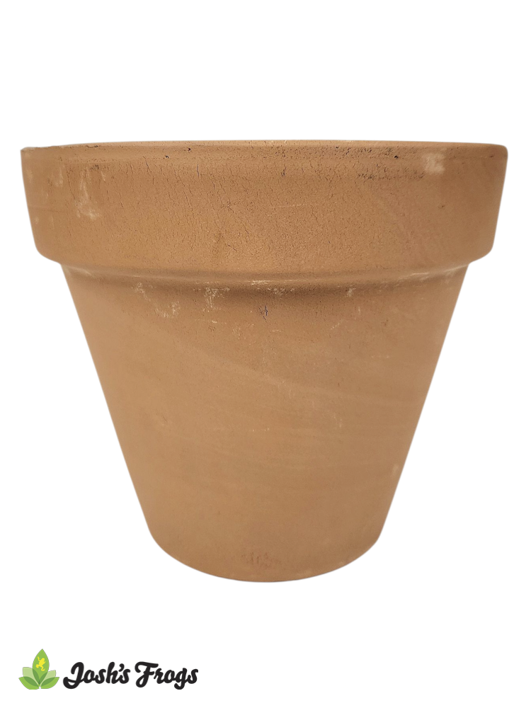 Deroma Terra Cotta 6.3 inch Standard Clay Pot