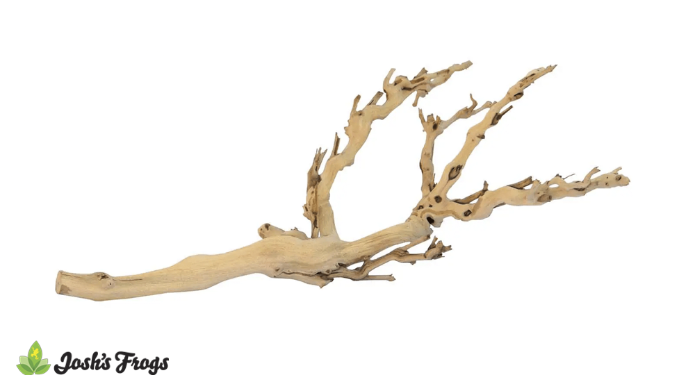 Exo Terra Forest Branch - Sandblasted Grapevine (Medium)