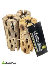 Galapagos Cholla Wood - 6 inch (3 pack)