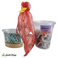 Josh's Frogs Adult Smooth-Sided Toad Feeder Bundle