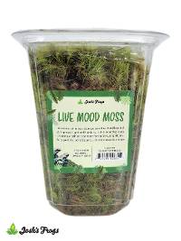 Josh's Frogs Live Mood Moss | Medium