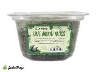 Josh's Frogs Live Mood Moss | Small