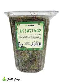 Josh's Frogs Live Sheet Moss | Medium