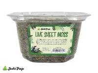 Josh's Frogs Live Sheet Moss | Small