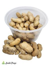 Josh's Frogs PEANUT Beetle Culture - Ulomoides dermestoides (16 oz.)