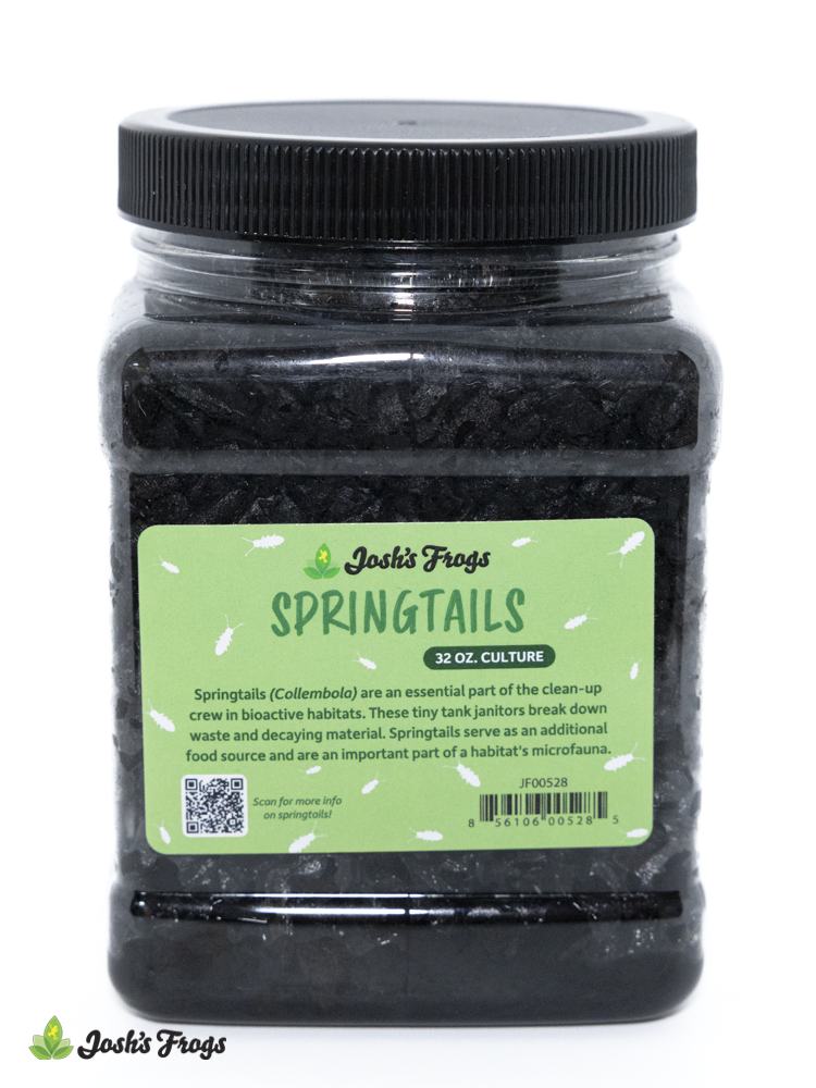 Josh's Frogs Temperate Springtail (Collembola) Culture (32 oz.)