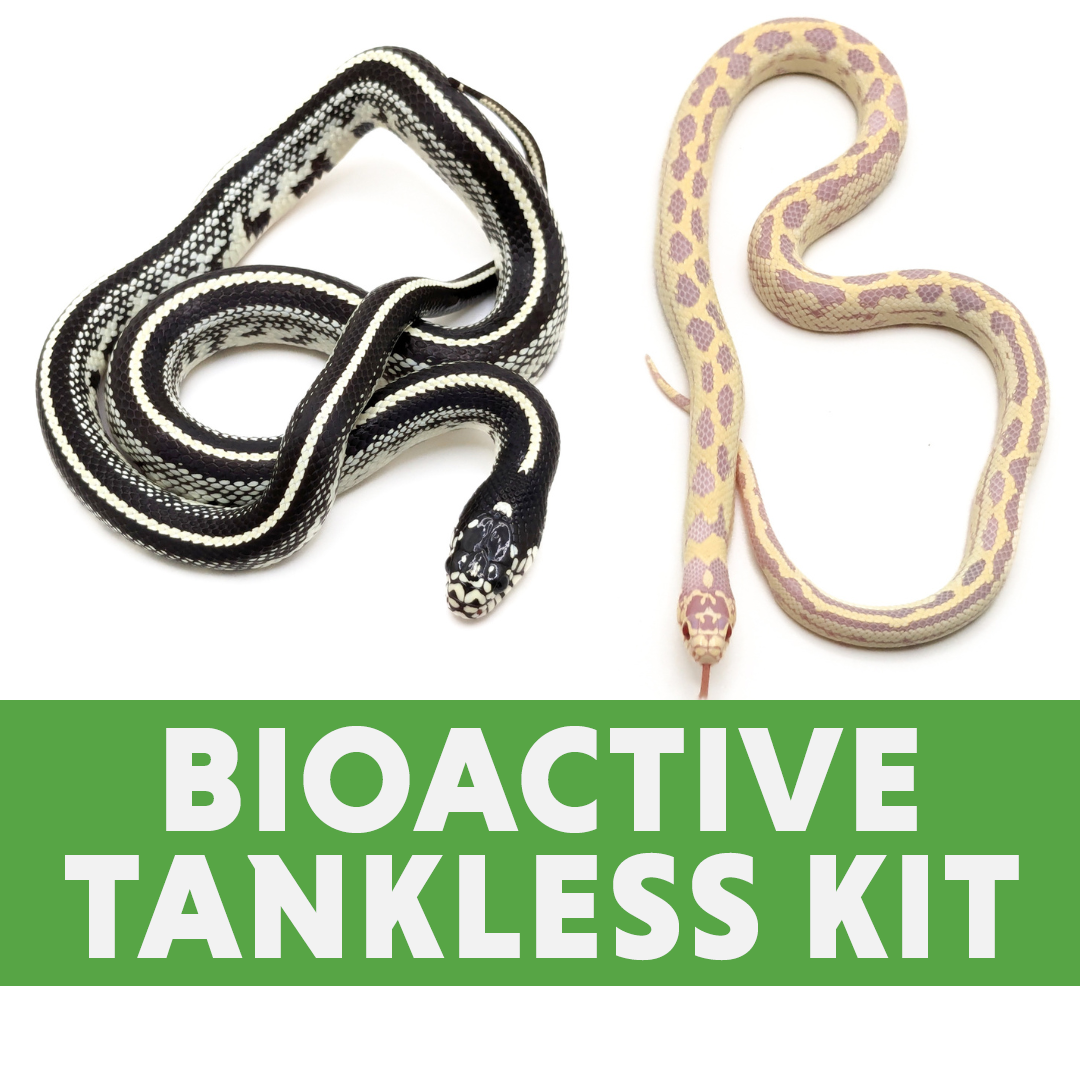 Kingsnake & Milk Snake Tankless Habitat Kit (4'x2'x2')