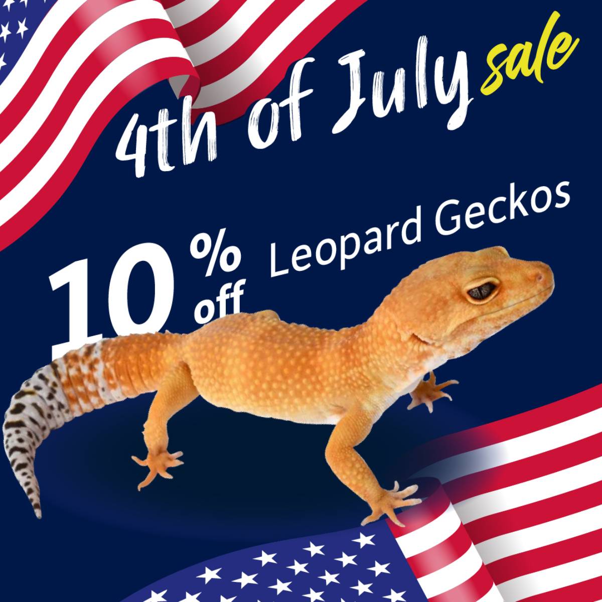 Save 10% on leopard geckos.