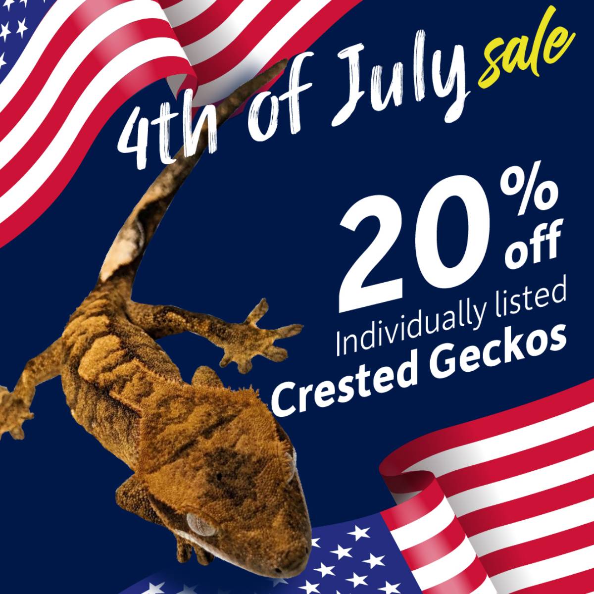Save 20% off ILP crested geckos.