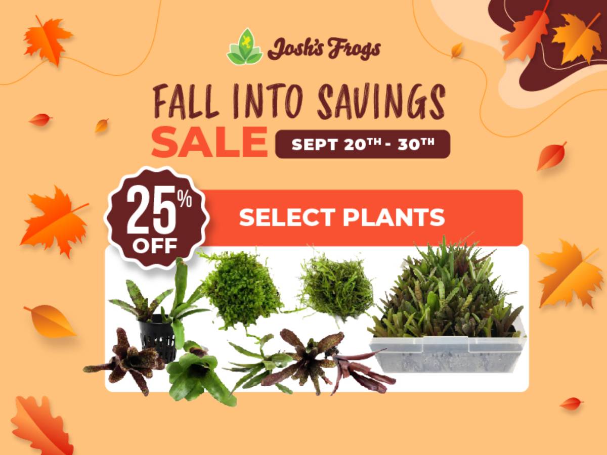 Save 25% on select live plants.