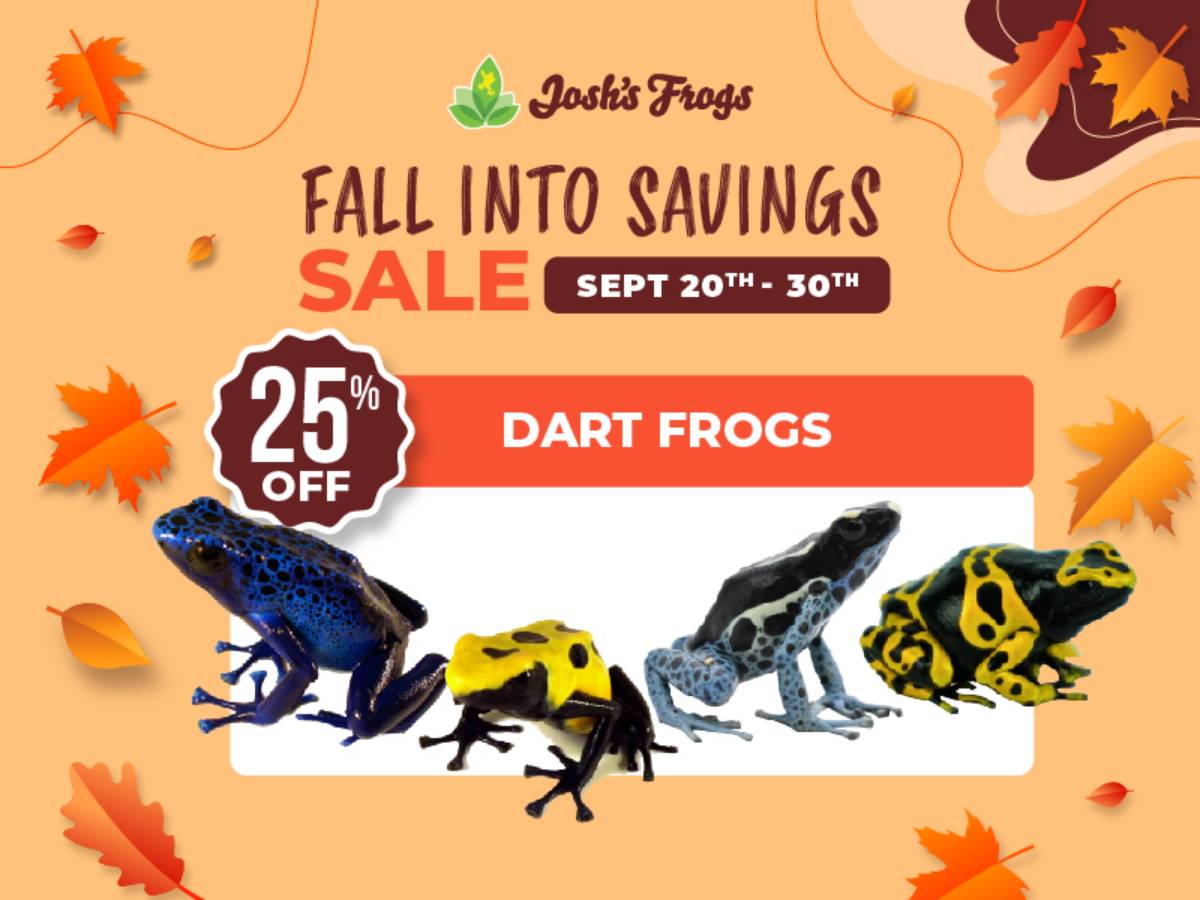 Save 25% on select dart frogs.