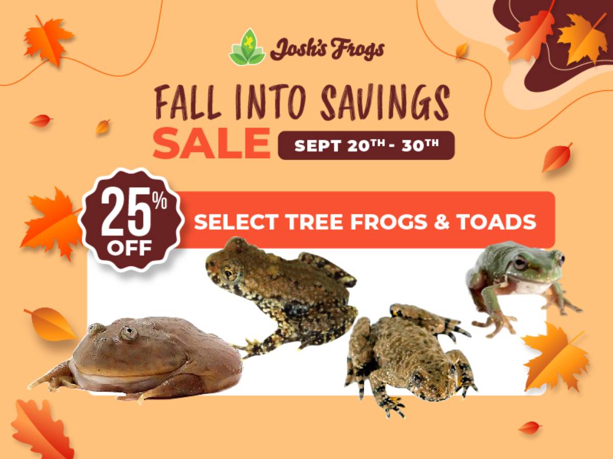 Save 25% on select tree frogs and toads.