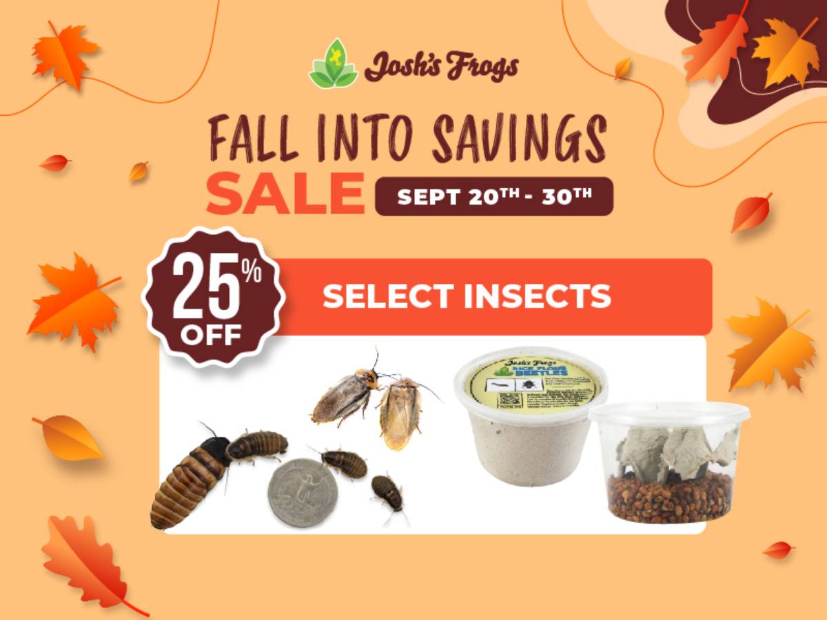 Save 25% on select live insects.