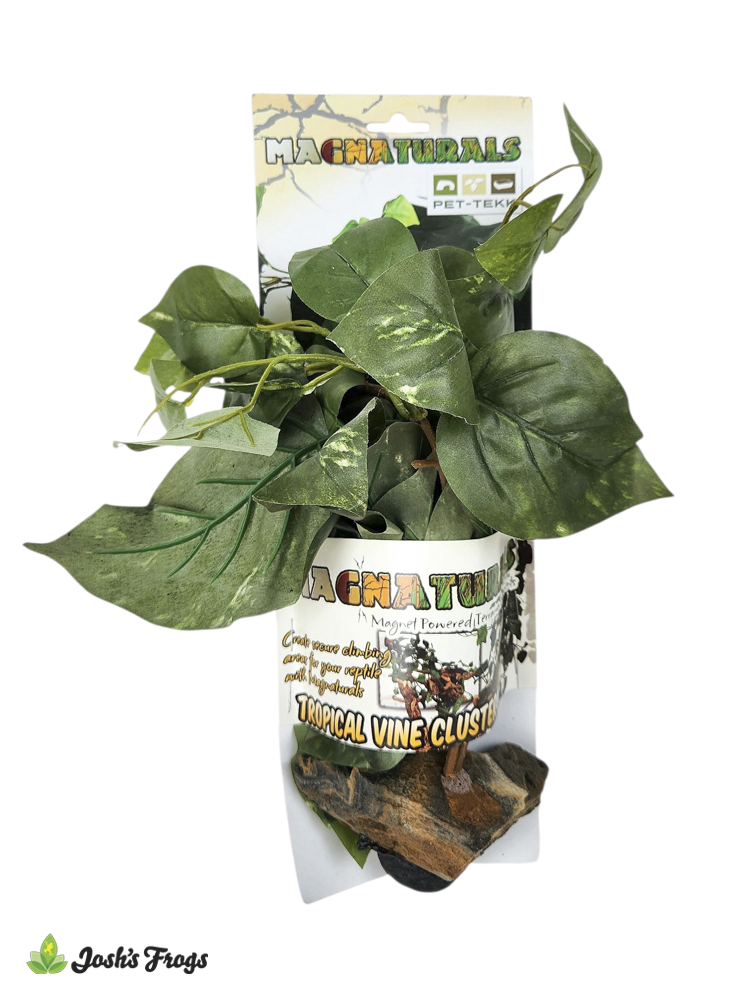 Magnaturals Tropical Vine Cluster