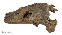 Malaysian Driftwood (Small)