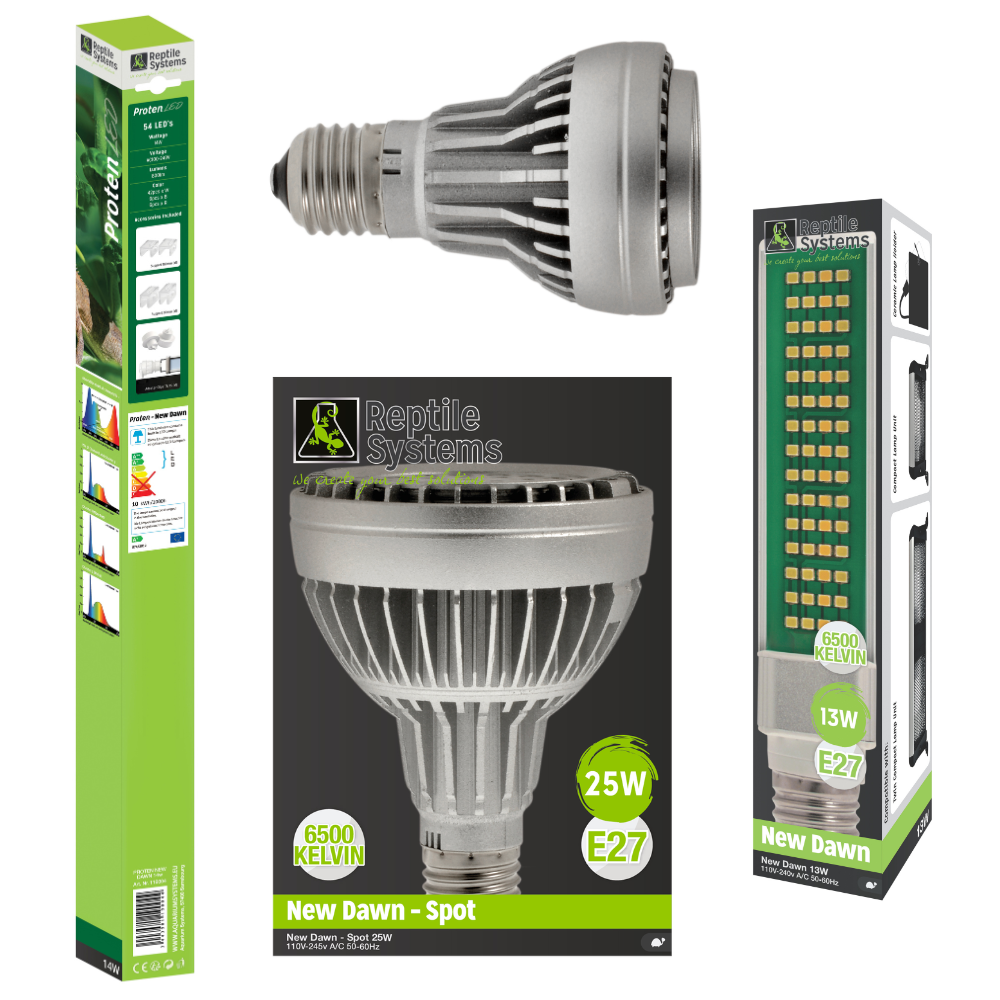 New Dawn LED Bulbs