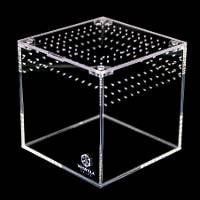 Tarantula Cribs Tarantula Cube | 6 inch