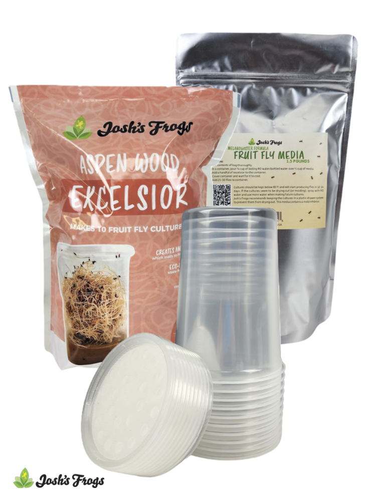 Melanogaster Fruit Fly Culture Kit (makes 10 cultures)