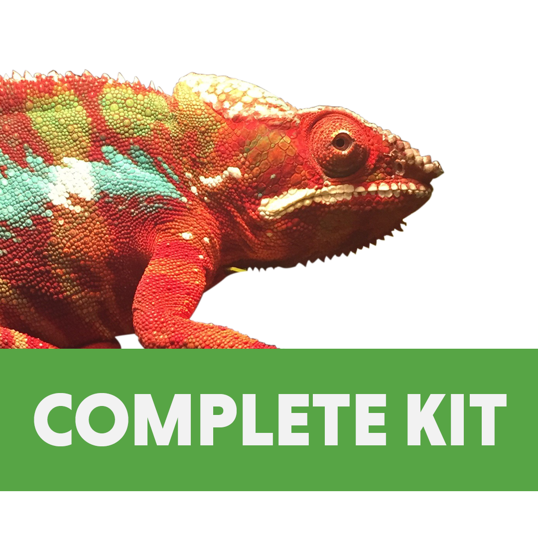 Panther Chameleon Complete Habitat Kit