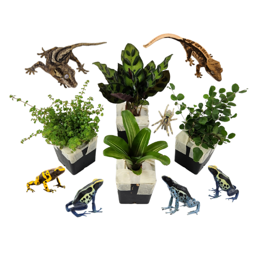 Plants for Pets
