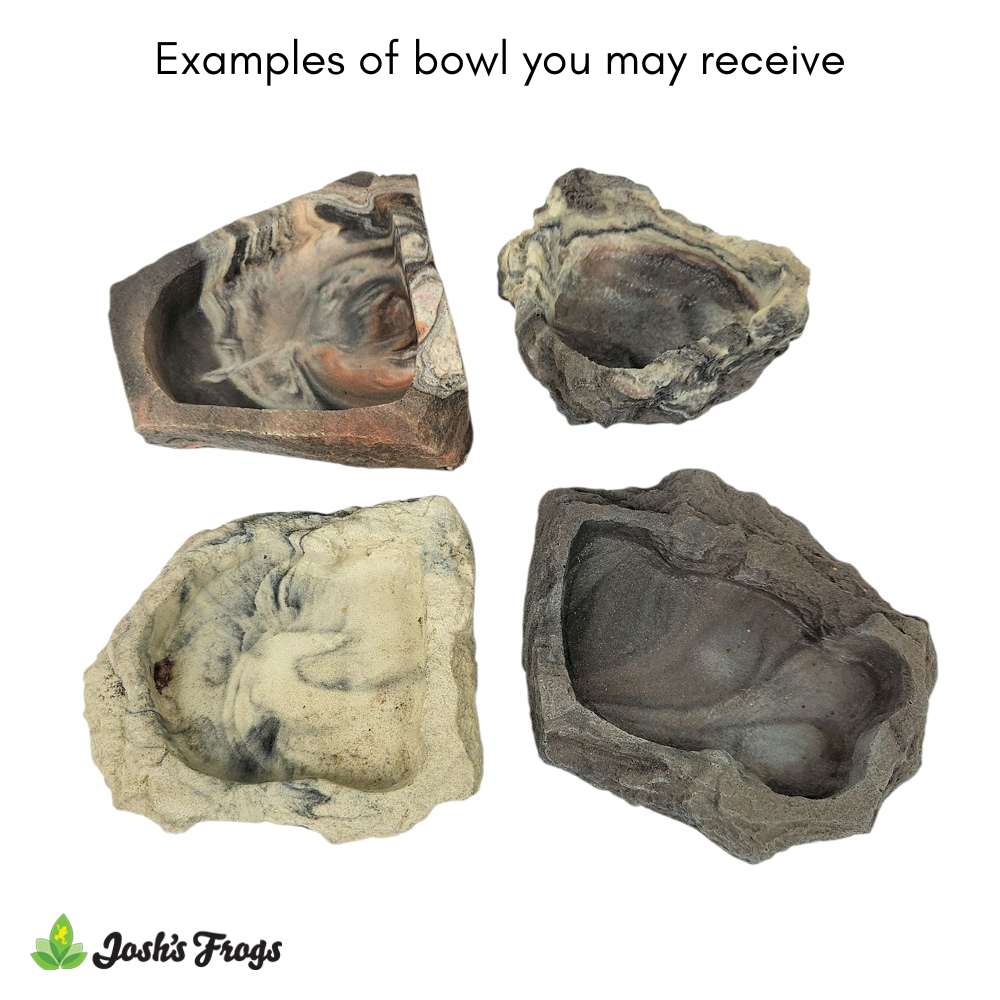 Pet-Tekk Assorted Reptile Rock Bowl (Extra Small)