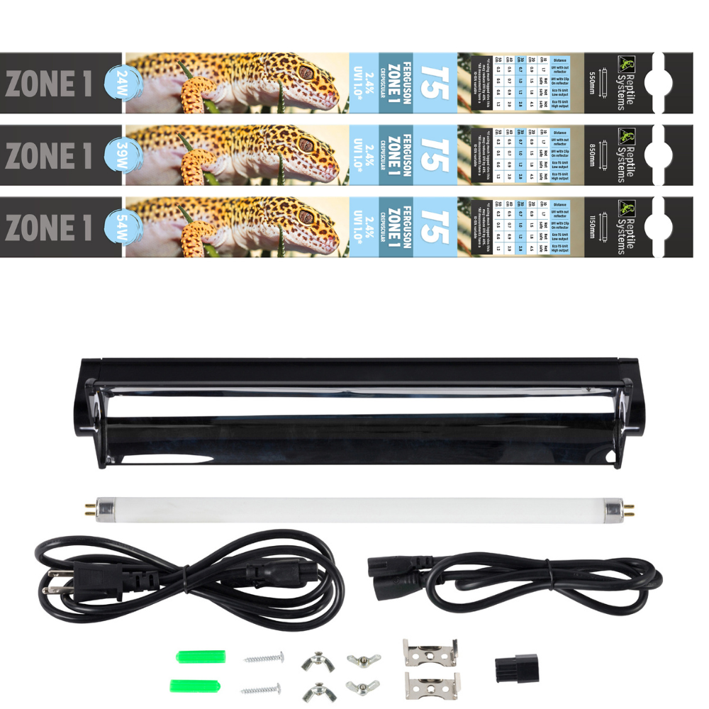 T5 Ferguson Zone 1 Lighting