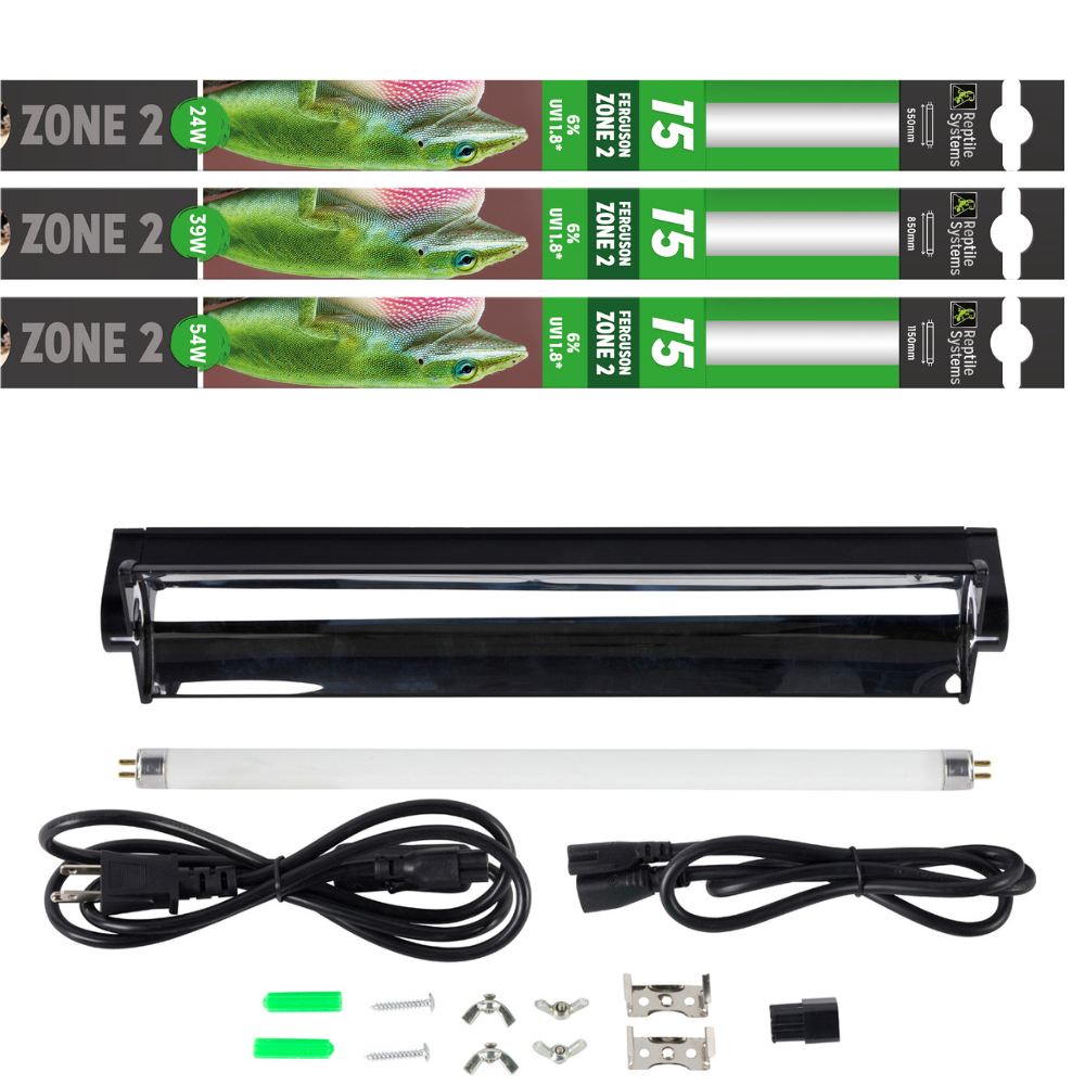 T5 Ferguson Zone 2 Lighting