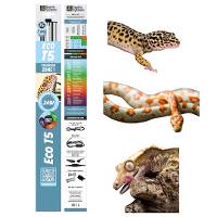 Reptile Systems Eco T5 Gen 2 Ferguson Zone 1 Fixture with Lamp (24 inch, 24 Watt)