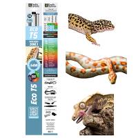 Reptile Systems Eco T5 Gen 2 Ferguson Zone 1 Fixture with Lamp (48 inch, 54 Watt)