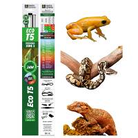Reptile Systems Eco T5 Gen 2 Ferguson Zone 2 Fixture with Lamp (24 inch, 24 Watt)