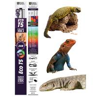 Reptile Systems Eco T5 Gen 2 Ferguson Zone 4 Fixture with Lamp (24 inch, 24 Watt)