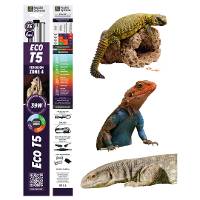 Reptile Systems Eco T5 Gen 2 Ferguson Zone 4 Fixture with Lamp (36 inch, 39 Watt)