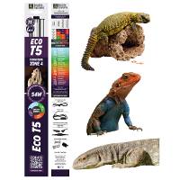 Reptile Systems Eco T5 Gen 2 Ferguson Zone 4 Fixture with Lamp (48 inch, 54 Watt)