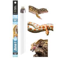 Reptile Systems T5 Ferguson Zone 1 - 2.4% UVB Lamp (12 inch, 8 Watt)
