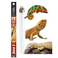Reptile Systems T5 Ferguson Zone 3 - 12% UVB Desert Lamp (22 inch, 24 Watt)