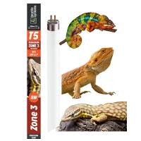 Reptile Systems T5 Ferguson Zone 3 - 12% UVB Forest Lamp (12 inch, 8 Watt)