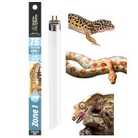 Reptile Systems T5 Ferguson Zone 1 - 2.4% UVB Lamp (34 inch, 39 Watt)