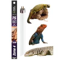 Reptile Systems T5 Ferguson Zone 4 - 15% UVB Desert Lamp (22 inch, 24 Watt)
