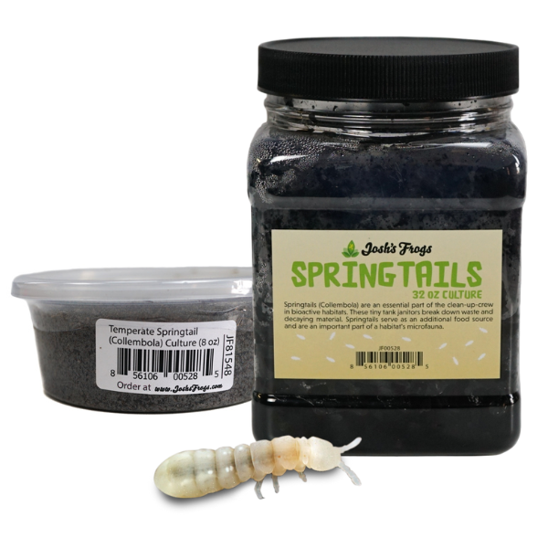 Springtails