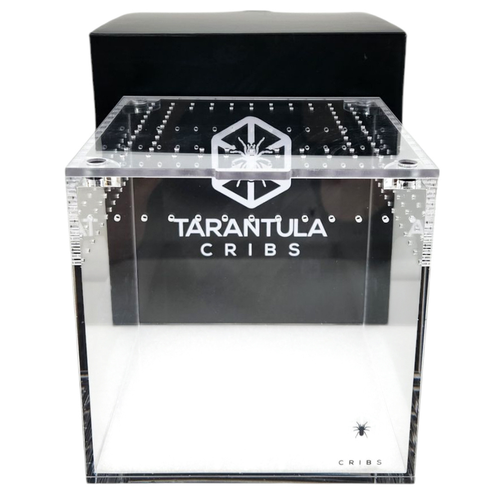 Tarantula Cribs Enclosures
