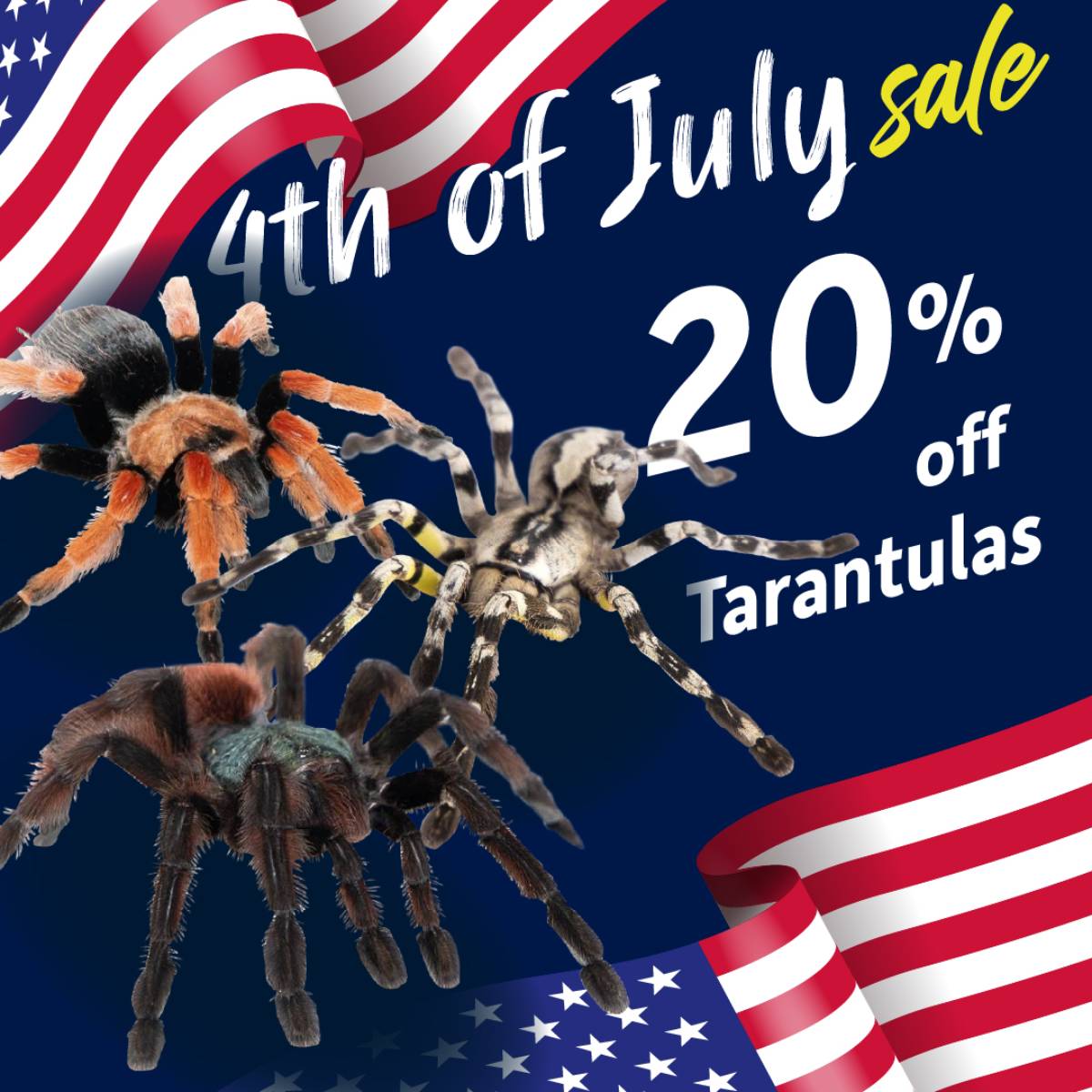 Save 20% on select tarantulas.