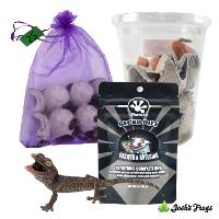 Tokay Gecko Feeder Bundle