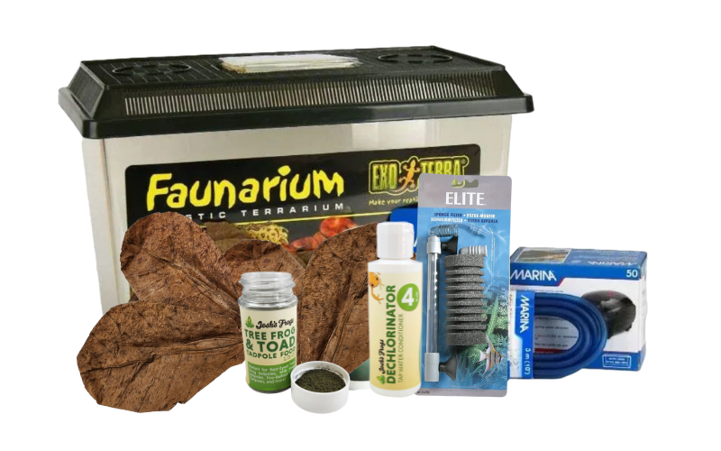 Native Frog & Toad Tadpole Kit (Large Faunarium)