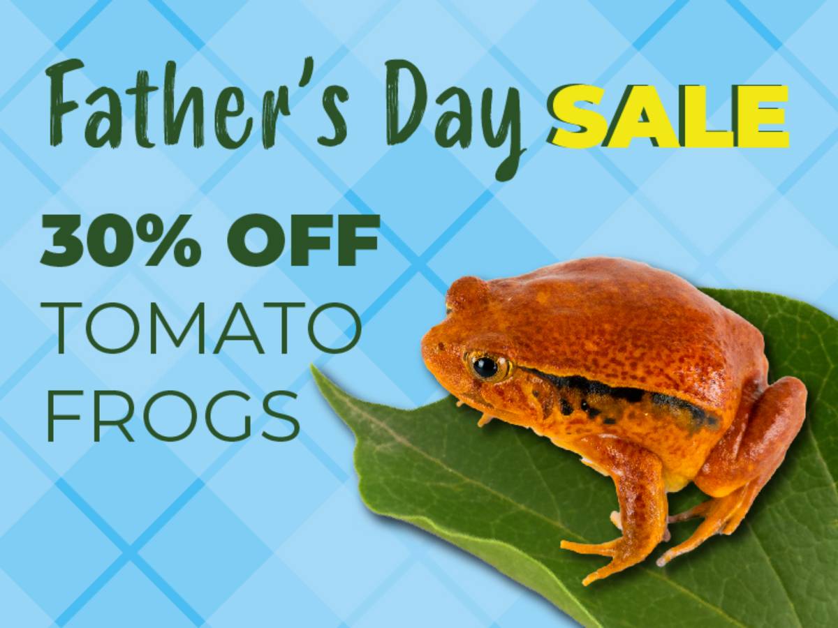 Save 30% on Tomato Frogs.