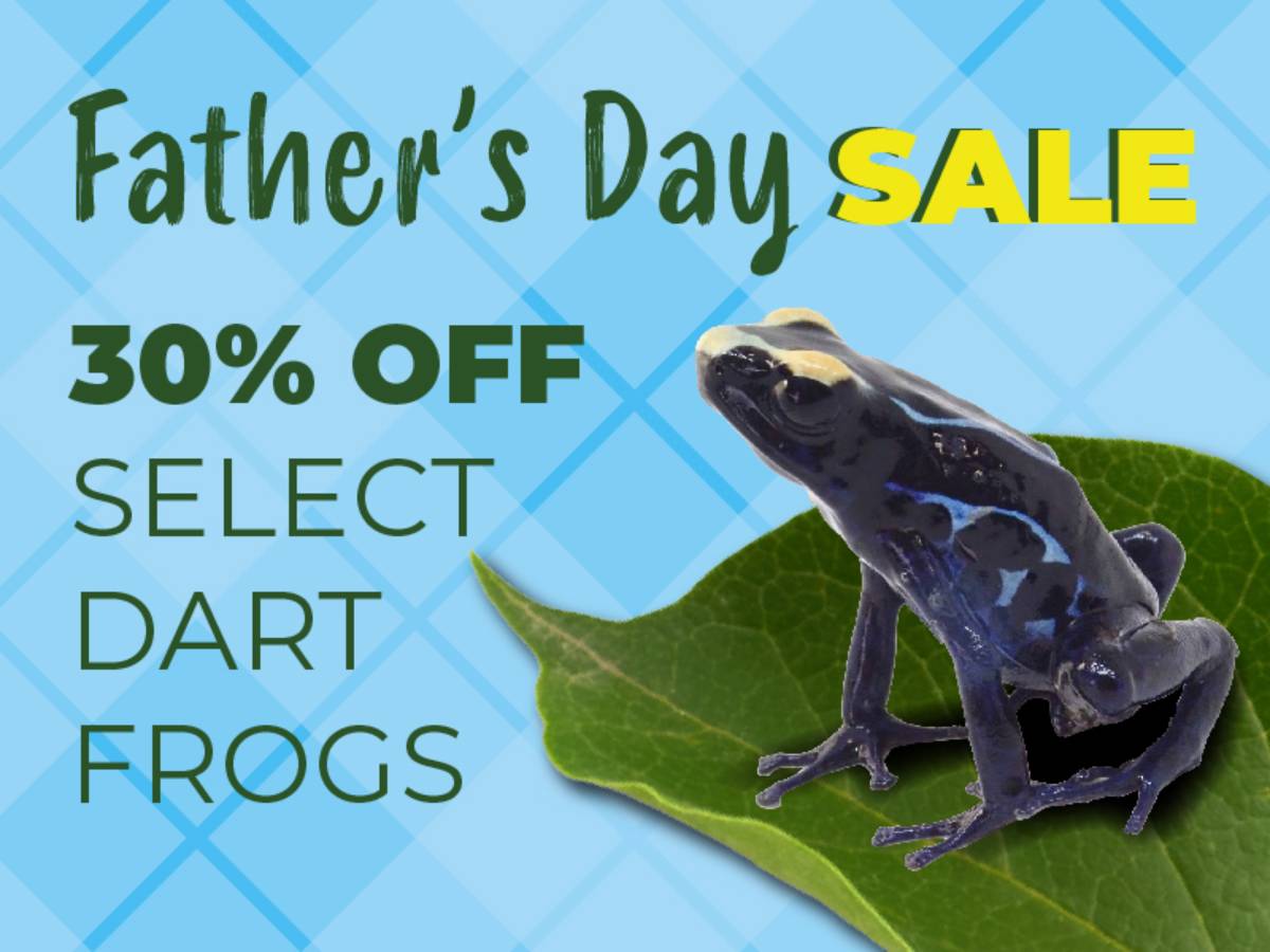 Save 30% on select dart frogs.
