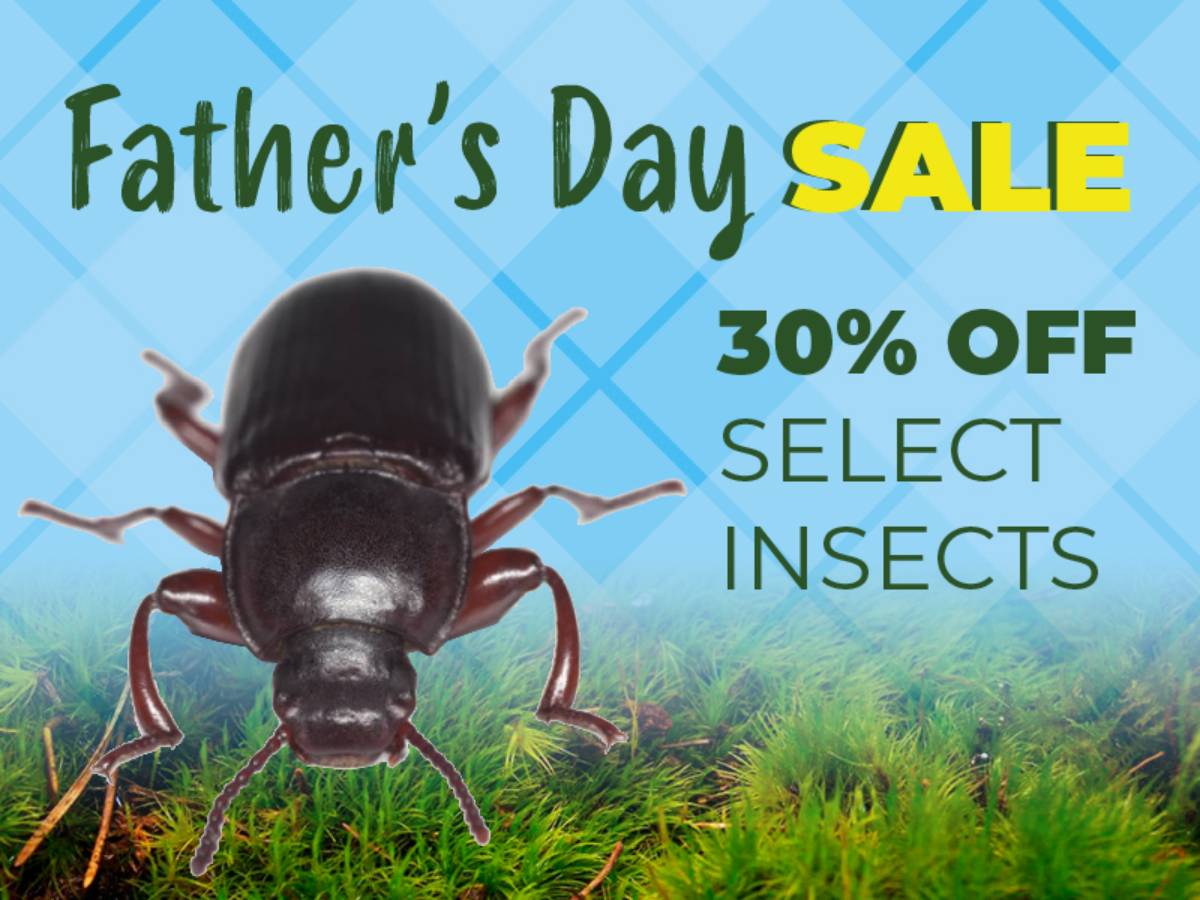 Save 30% on select insects.
