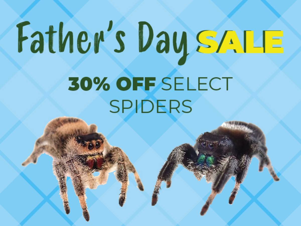 Save 30% off select spiders.