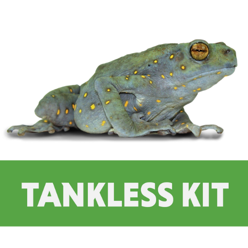 Yellow-Spotted Climbing Toad Tankless Habitat Kit
