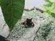 a1ddd189_302d_4605_99dc_e722d80e94ec_review-b3ca8c1d.jpg